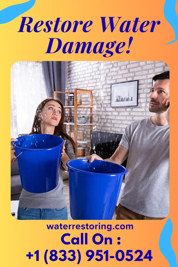 water restoration Silver Restoration & Associates Shanor-Northvue