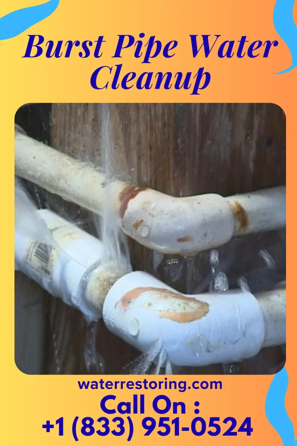 Burst Pipe Water Cleanup in Shanor-Northvue, PA