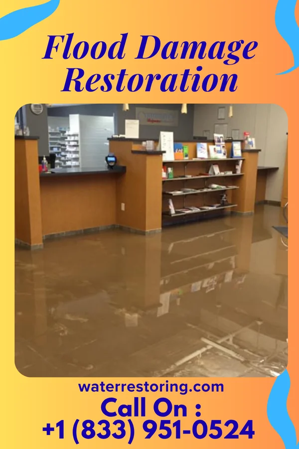 Flood Damage Restoration in Shanor-Northvue, PA