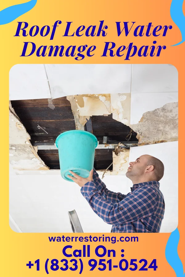 Roof Leak Water Damage Repair in Shanor-Northvue, PA