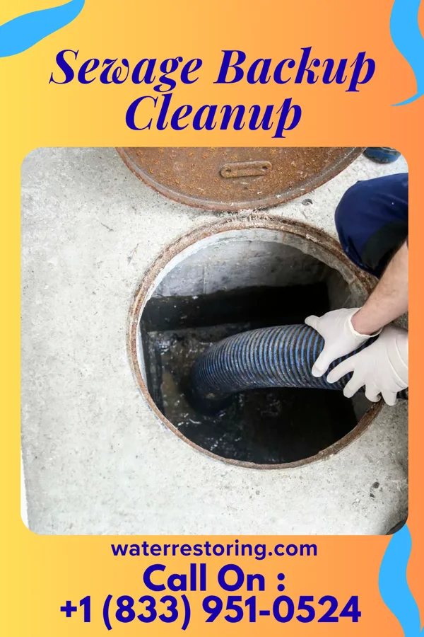 Sewage Backup Cleanup in Shanor-Northvue, PA