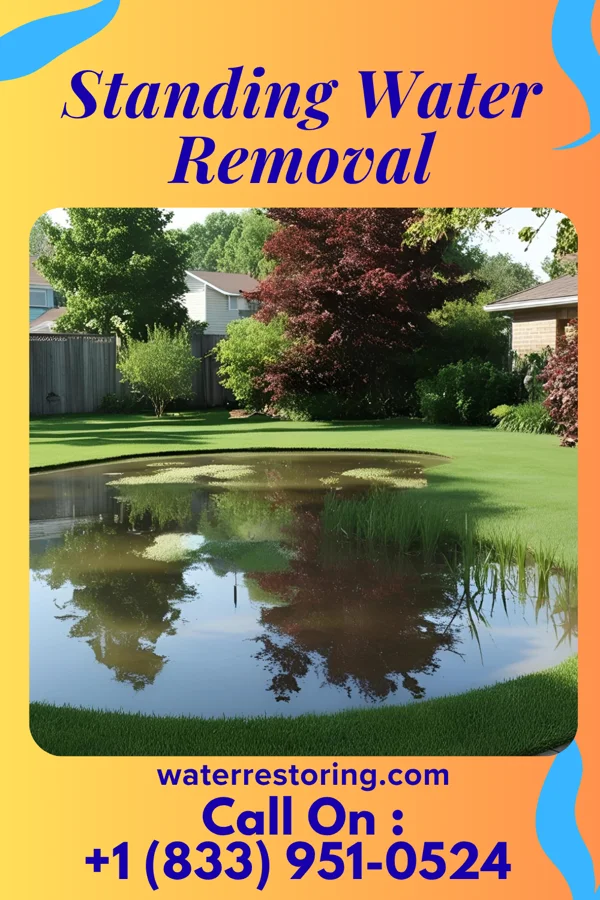 Standing Water Removal in Shanor-Northvue, PA